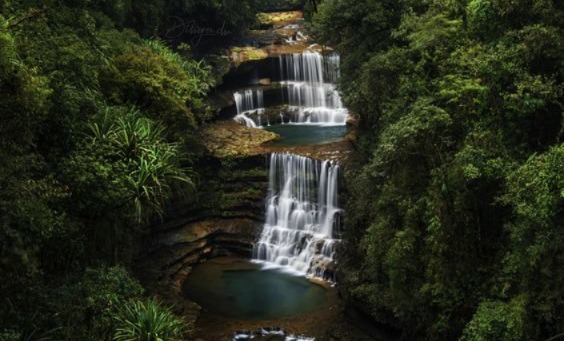 10N/11D Northeast (Nagaland, Assam, Meghalaya) Tour